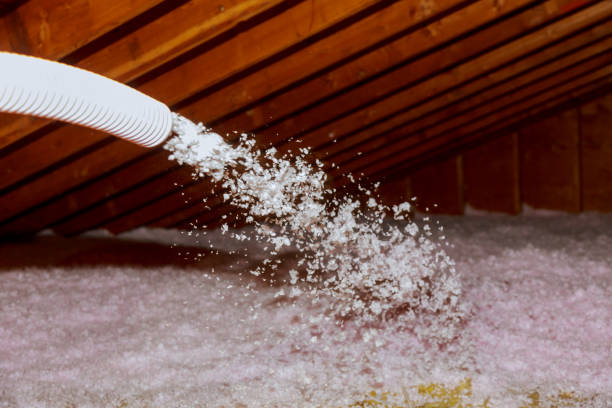 Best Types of Insulation in Bellview, FL