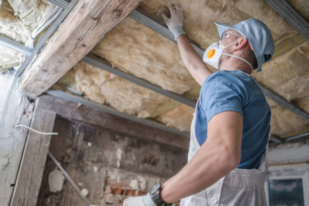 Best Residential Insulation in Bellview, FL