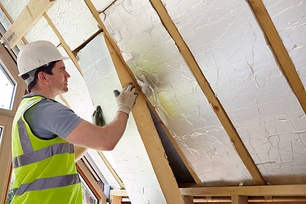 Best Insulation Installation Services in Bellview, FL