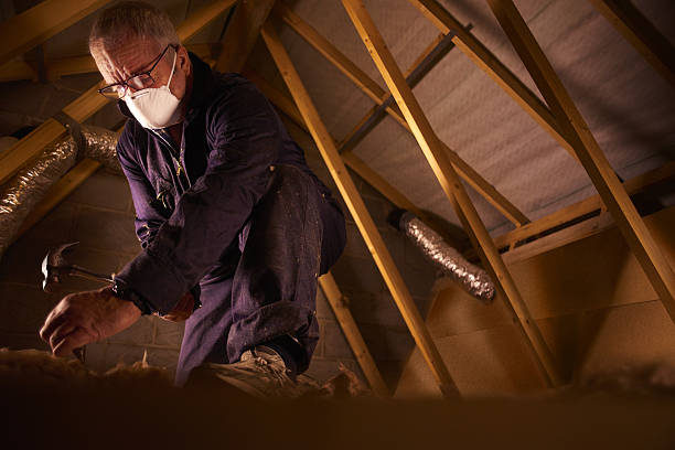 Best Specialty Insulation in Bellview, FL